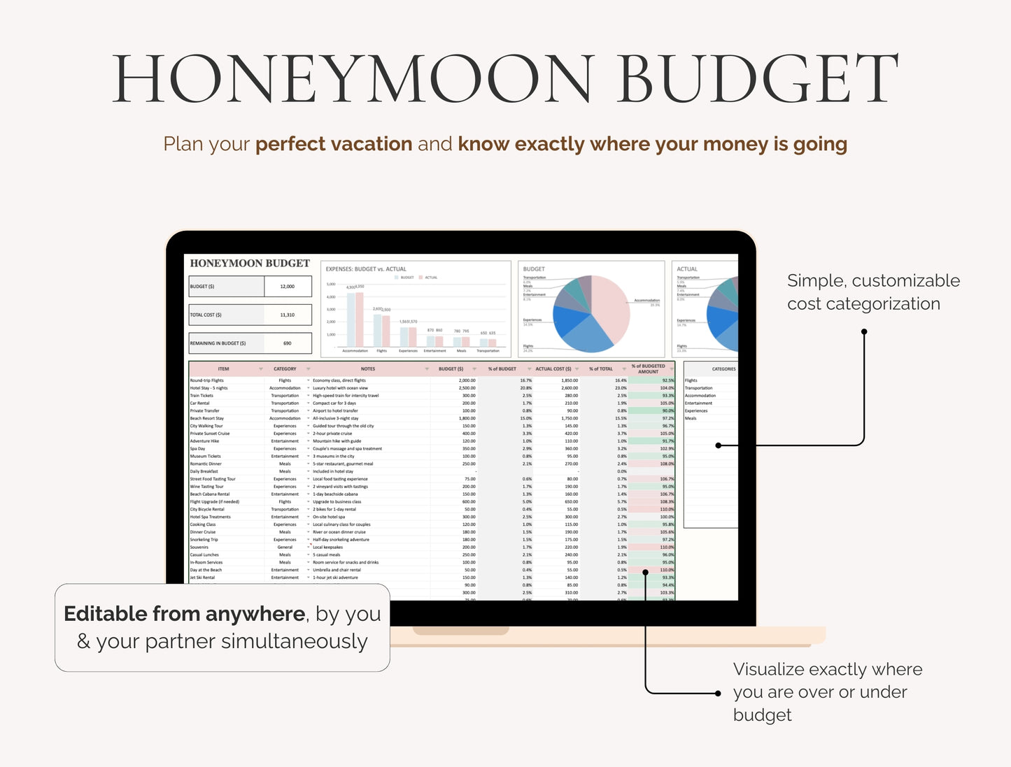 All-In-One 42 TABS PRO Wedding Planner Spreadsheet